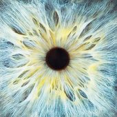 Blue eye, close-up